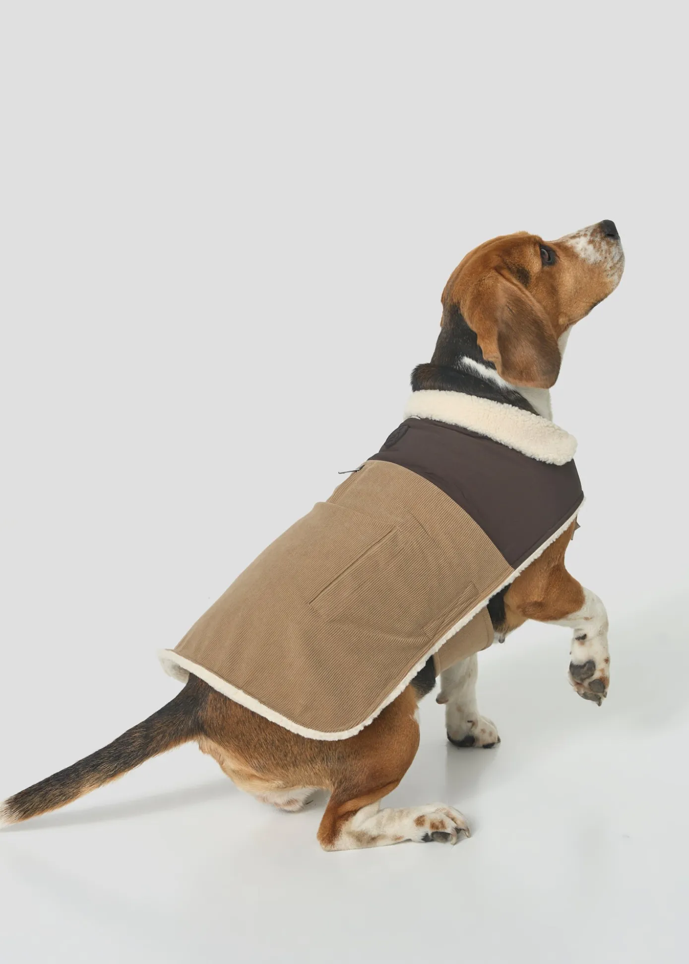 Doudoune pour chien Beige fumé/Café noir Milou