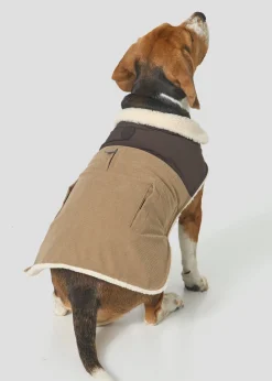 Doudoune pour chien Beige fumé/Café noir Milou