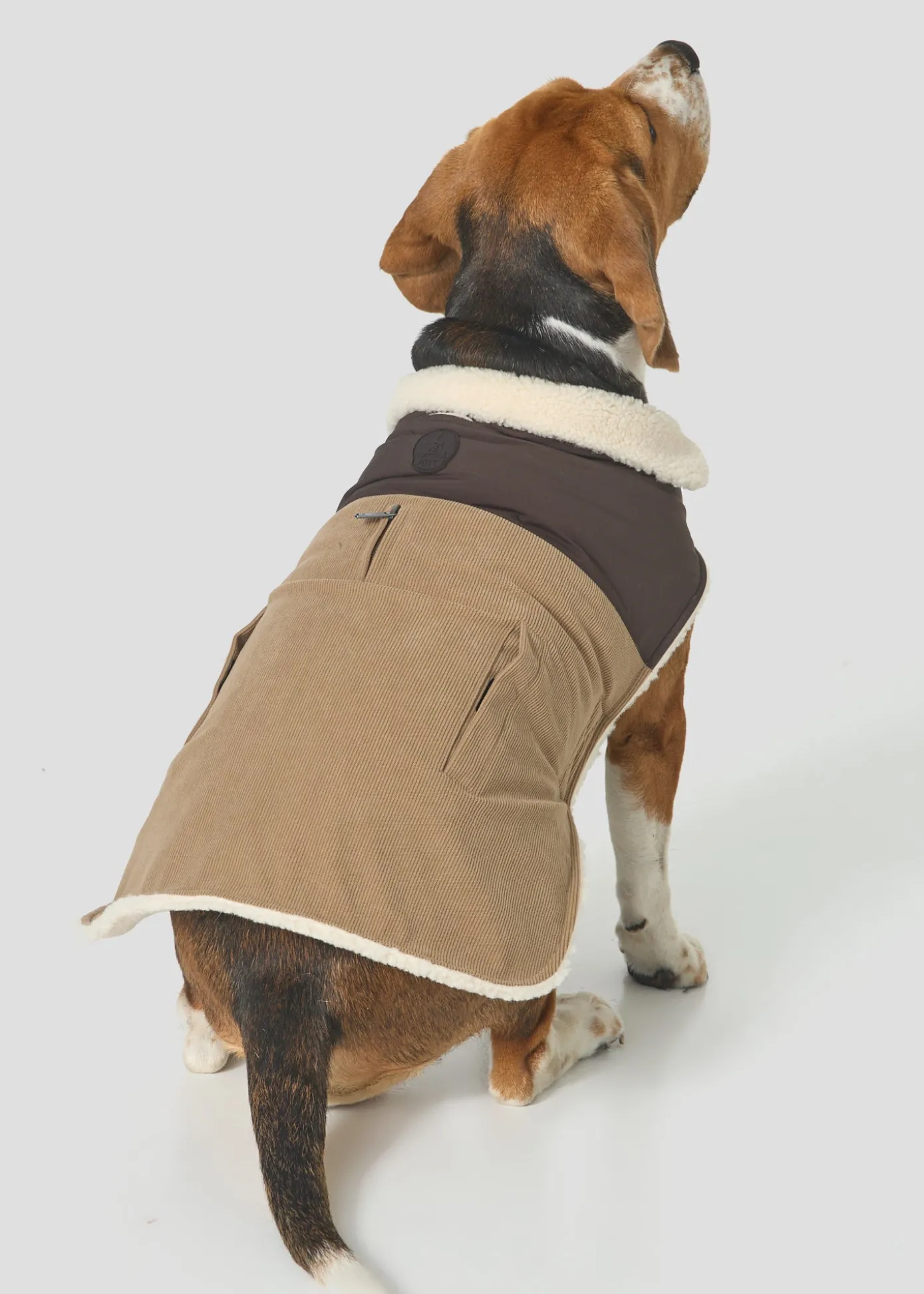 Doudoune pour chien Beige fumé/Café noir Milou