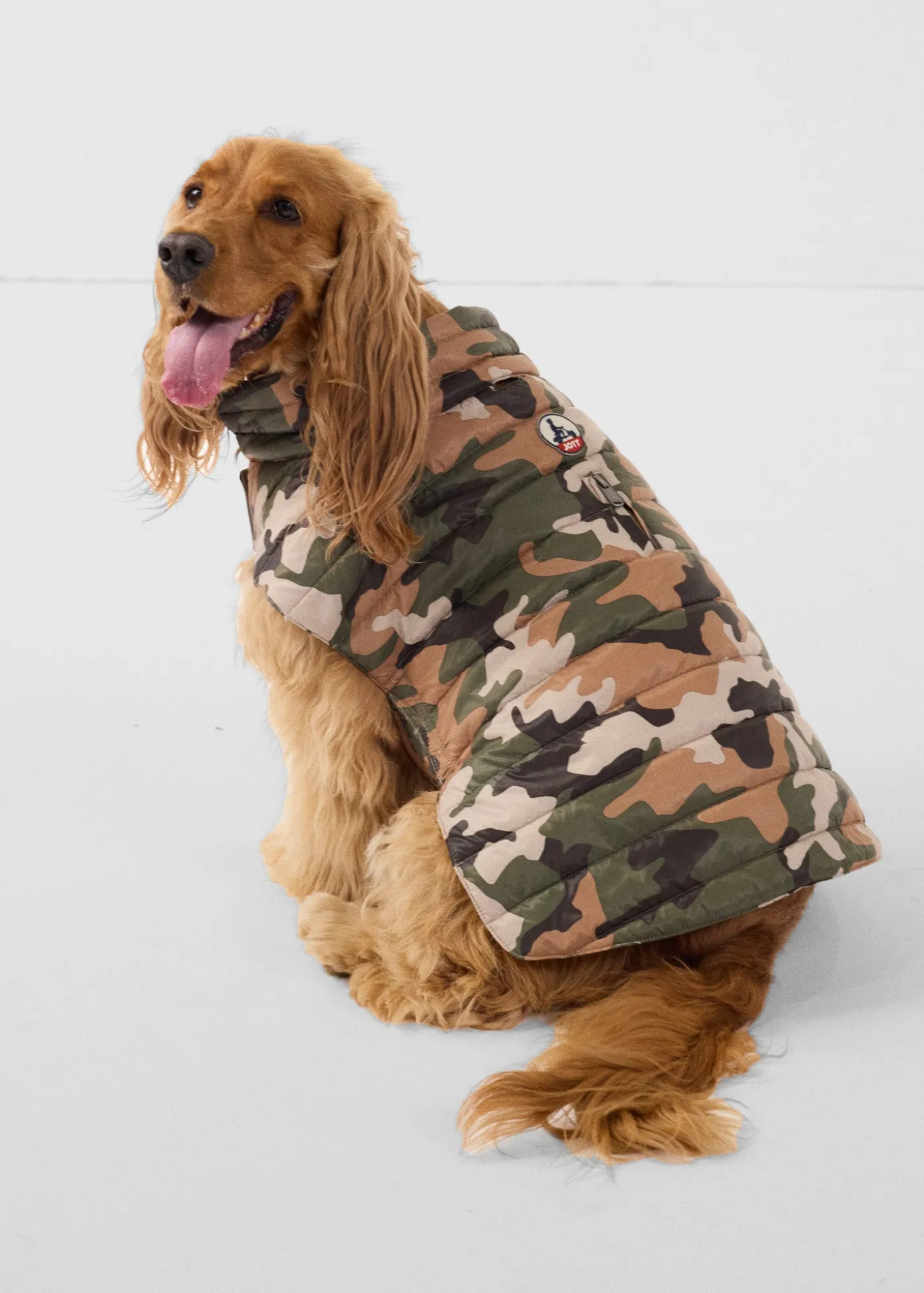 Doudoune pour chien Camo sucre roux Cutie print