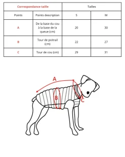 Imperméable pour chien Bleu cristal Balto