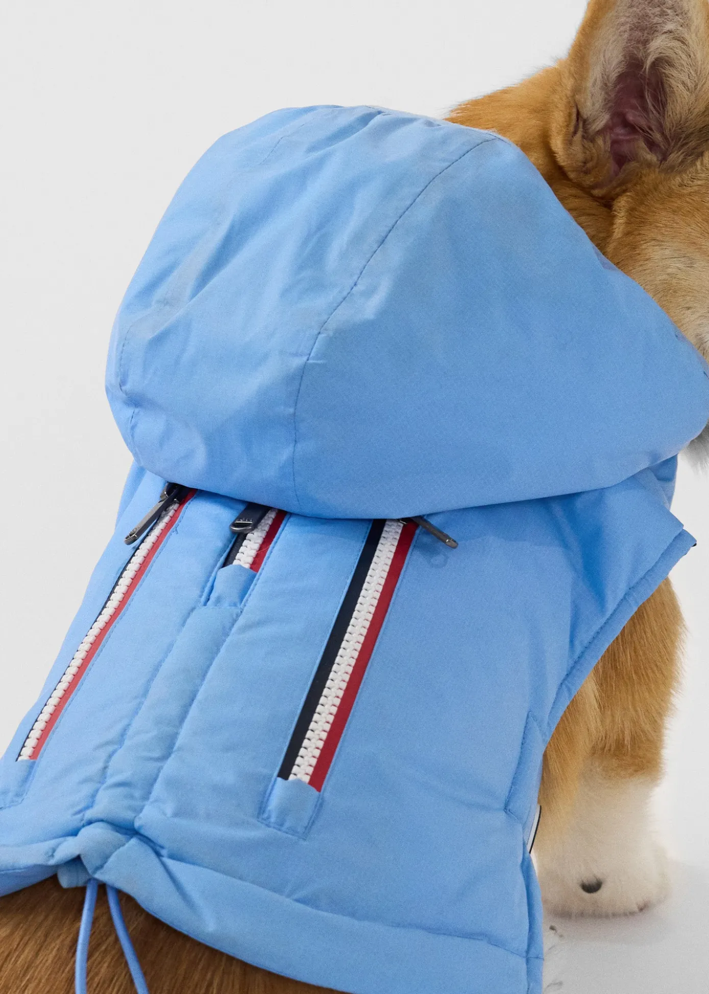 Imperméable pour chien Bleu cristal Balto
