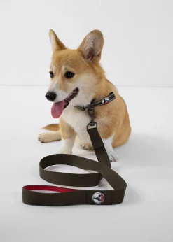 Laisse pour chien Army Max