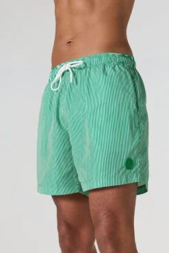 Maillot de bain Vert tropical rayé Ian stripe