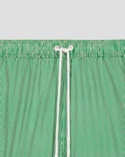 Maillot de bain Vert tropical rayé Ian stripe